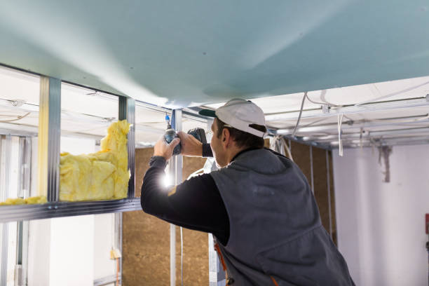 Best Specialized Insulation Services in Maryville, TN